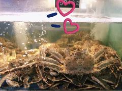 -蟹之国·精品蟹料理(极地店)