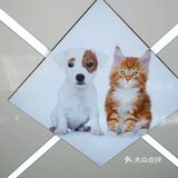 铲屎官们首选的吾家宠物医院，值得信赖～