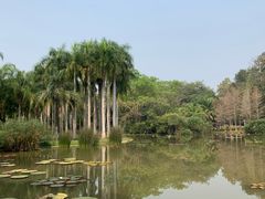 -中国科学院西双版纳热带植物园