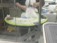 -它主义宠物(梁溪万达店)