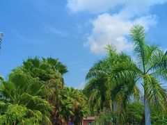 -金鸡岭桥头公园