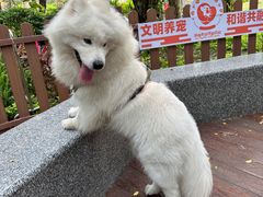 -四海公园(南山区)