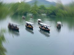-杭州君悦酒店