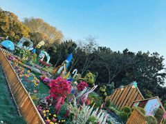 -上海共青森林公园