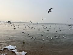 -老虎石海上公园