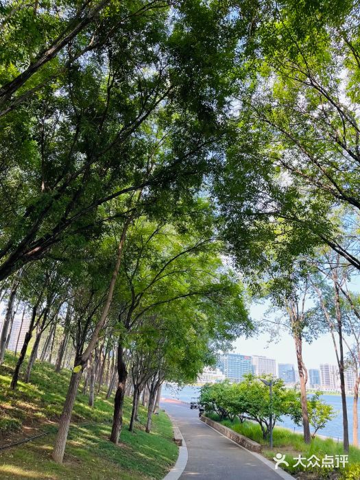 北龙湖湿地公园图片