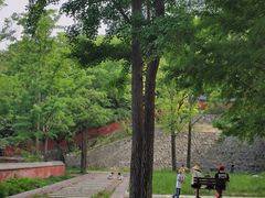 -阳台山自然风景区