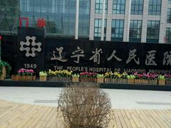-辽宁省人民医院