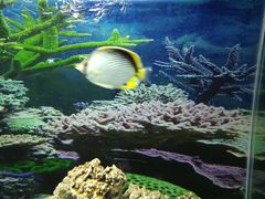 -泉州海丝野生动物世界