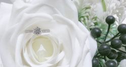 -DR钻戒(杭州星光大道店)