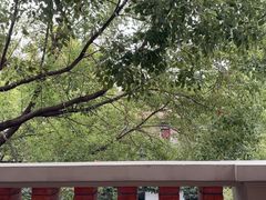 -星巴克臻选(思南公馆店)