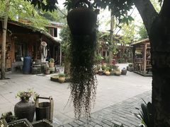 -青城甲(青城山店)