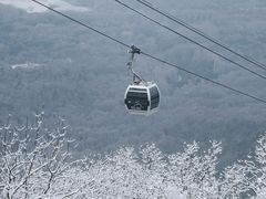 -紫金山天文台