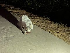 -鬼笑石后山停车场