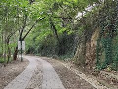 -上海佘山国家森林公园西佘山园