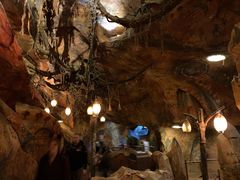 -奥兰多迪士尼动物王国乐园