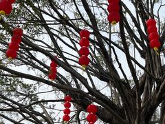 -广州莲花山旅游区