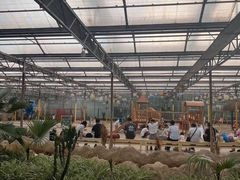 -南宫五洲植物乐园