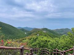 -大围山国家森林公园