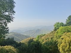 -莫干山风景区
