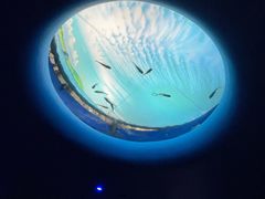 -欢乐海岸海洋奇梦馆