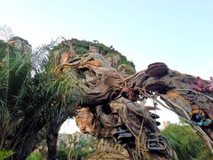 -奥兰多迪士尼动物王国乐园