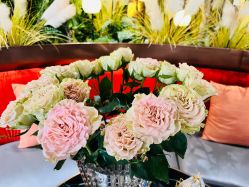 -花隐·美芙炫海菲秀皮肤管理中心