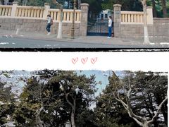 -八大关景区