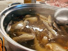 -百利鸽王(紫薇路店)