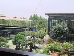 -蘇河湾·新鲁菜·泰山宴(泰山店)
