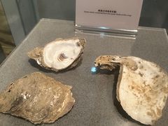 -深圳博物馆历史民俗馆