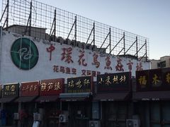 -中环花鸟鱼虫市场
