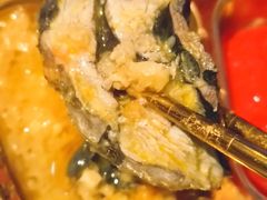 -Darling Queen·Mini·Live·House