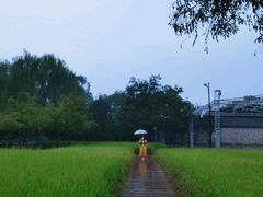 -北坞公园