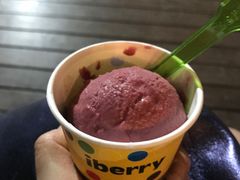 -莓园冰淇淋店