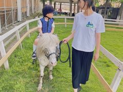 -太阳岛度假酒店