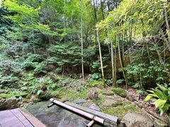 -有马温泉 竹取亭円山温泉旅馆