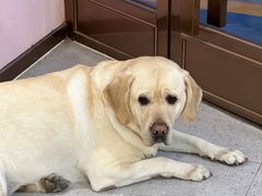 -FAELING PETS美天灵宠物(富力广场店)