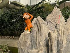 -兴芮温泉度假区