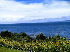 -南紀白浜 浜千鳥の湯 海舟