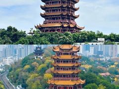 -武汉园博园(武汉自然博物馆)
