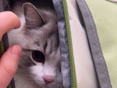 -美联众合动物医院·24h转诊中心