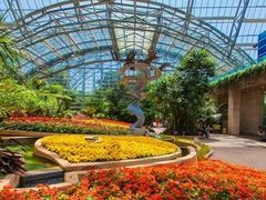 -南山植物园