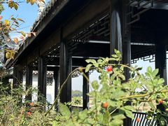-梁鸿国家湿地公园