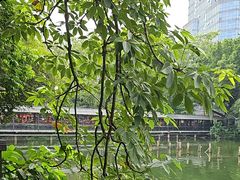 -侨美·唐荔园·40年地道粤菜