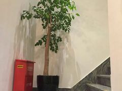 -麦子MaiMassage(打浦桥店)