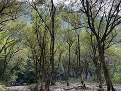 -楠溪江石桅岩