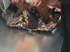 -王允海动物医院(中央大街店)