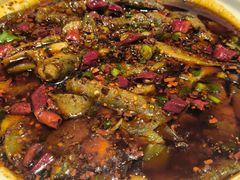 -情妹耙泥鳅·江湖川菜(科华店)