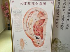 -川耳坊专业采耳馆